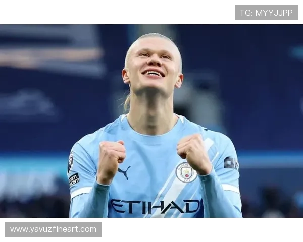 哈兰德德甲锋霸